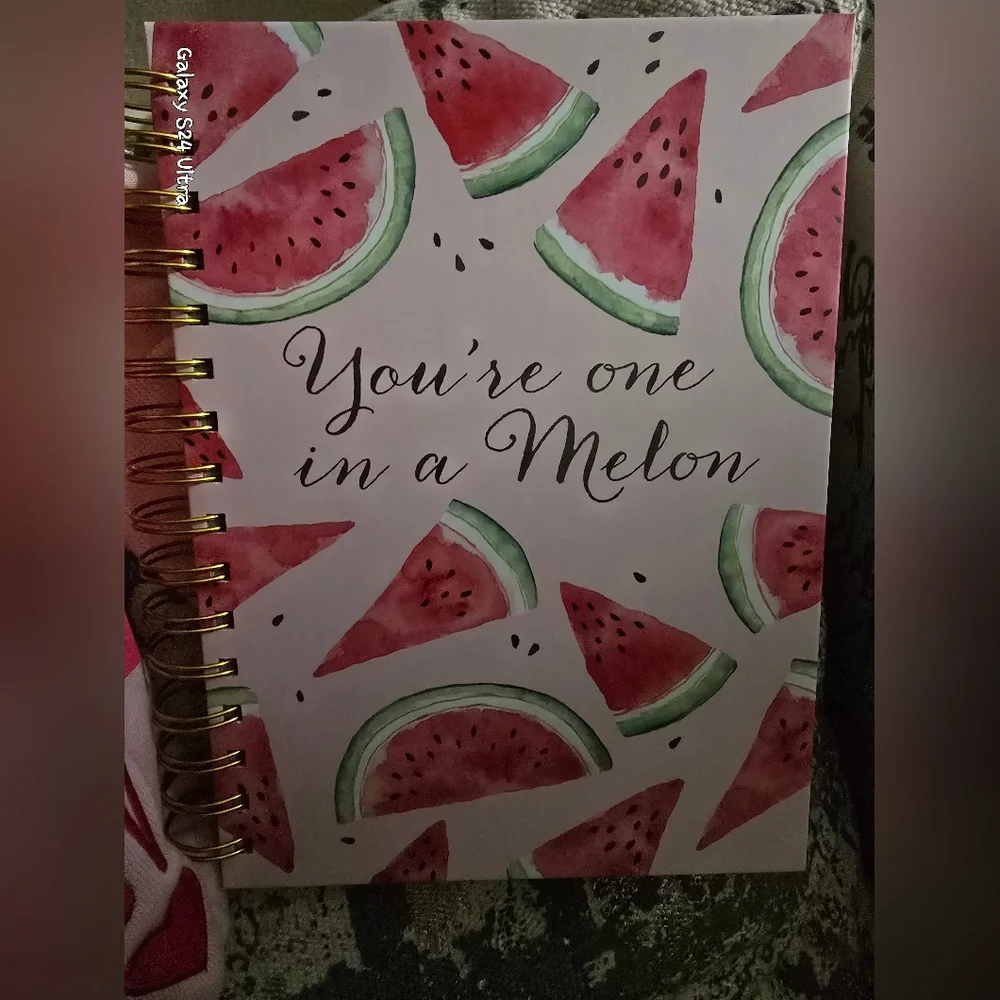 Watermelon Design Notebook & LOVE Sweatshirt Sz Medium NEW